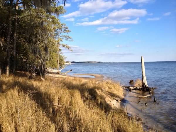 Pamlico River from Goose Creek State Park